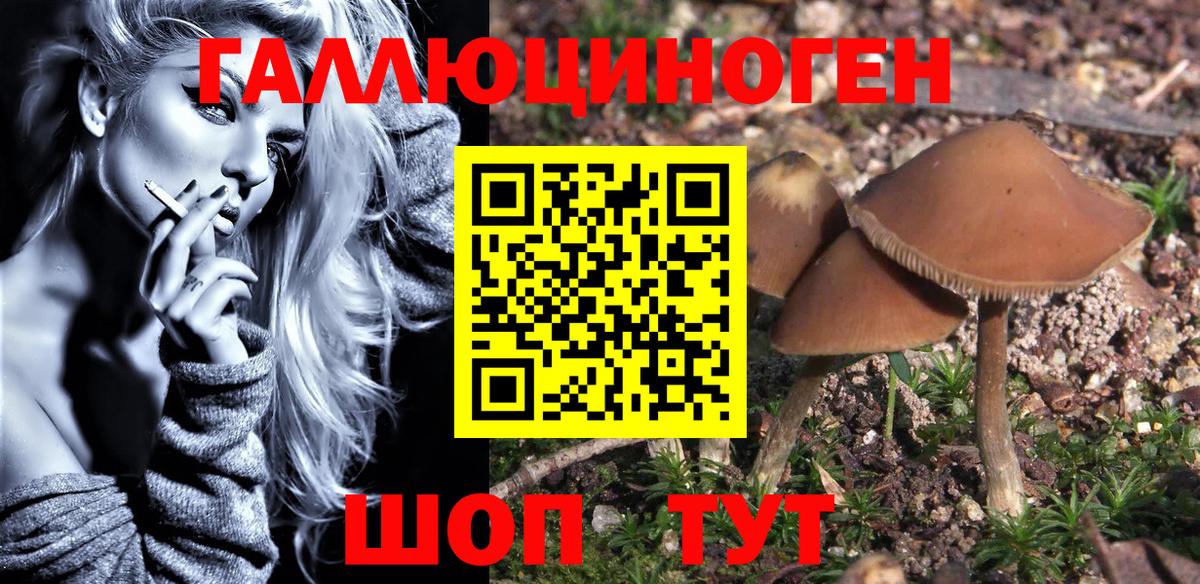 Галлюциногенные грибы Psilocybe Лангепас